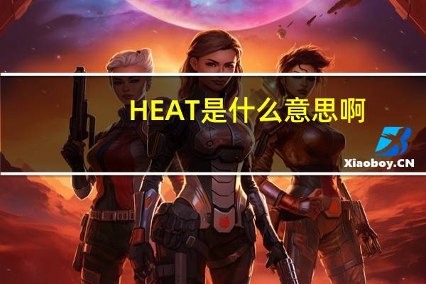 HEAT是什么意思啊