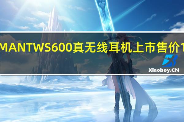 HIFIMAN  TWS600真无线耳机上市售价12999卢比