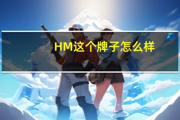 HM这个牌子怎么样