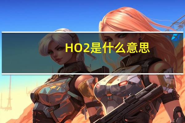 HO2是什么意思