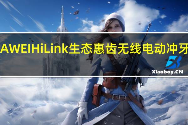 HUAWEI HiLink生态惠齿无线电动冲牙器299元