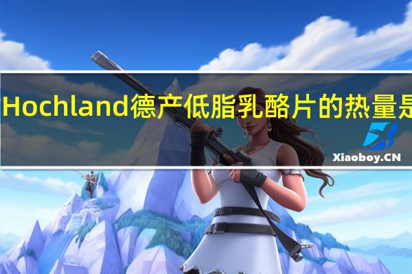Hochland 德产低脂乳酪片的热量是多少