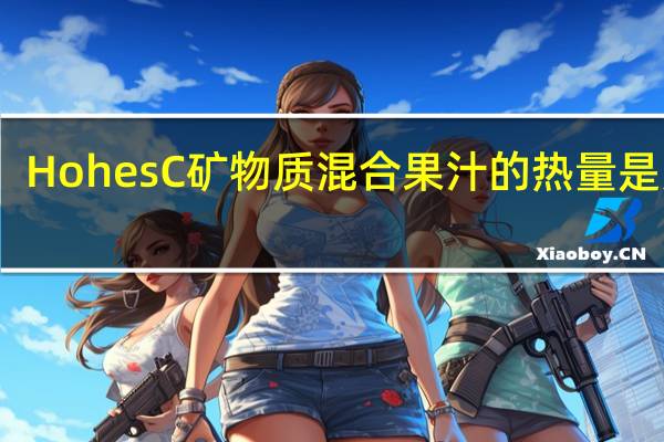 HohesC 矿物质混合果汁的热量是多少