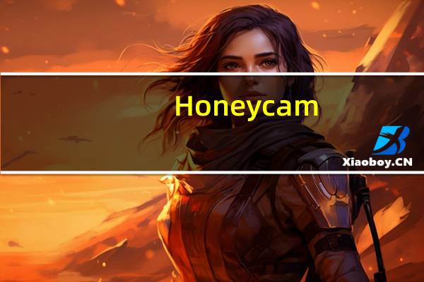 Honeycam(GIF动图制作软件) V3.50 官方最新版（Honeycam(GIF动图制作软件) V3.50 官方最新版功能简介）