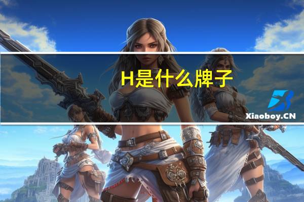 H 是什么牌子