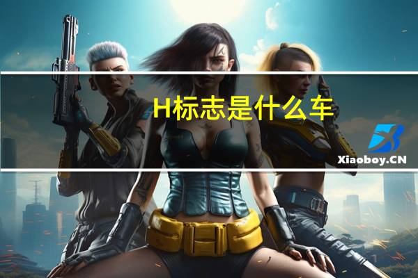 H标志是什么车