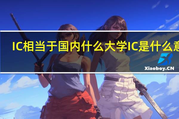 IC相当于国内什么大学 IC是什么意思
