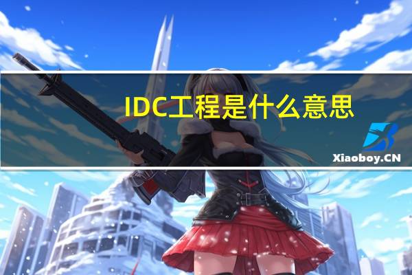 IDC工程是什么意思