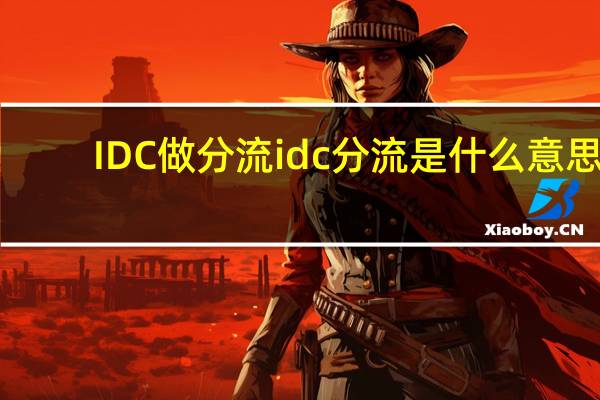 IDC做分流 idc分流 是什么意思