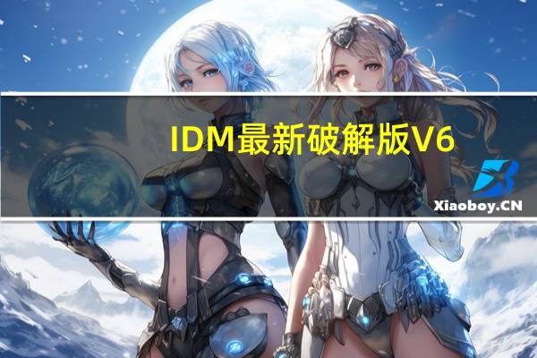 IDM最新破解版 V6.41 Build2 中文免费版（IDM最新破解版 V6.41 Build2 中文免费版功能简介）