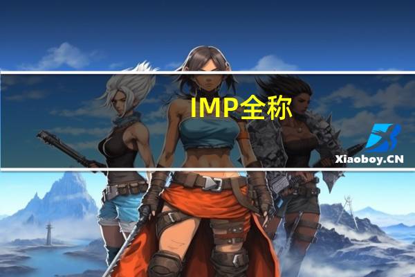 IMP全称