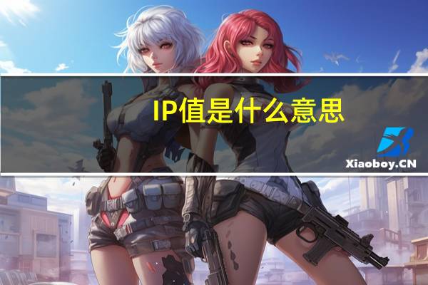 IP值是什么意思