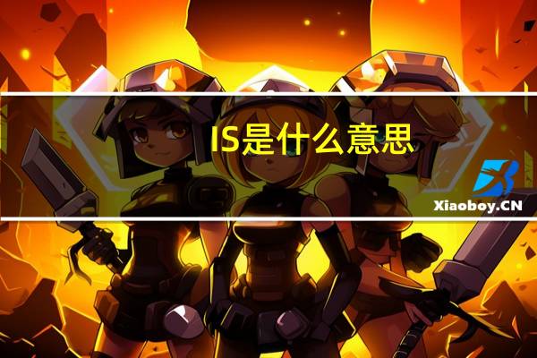 IS是什么意思