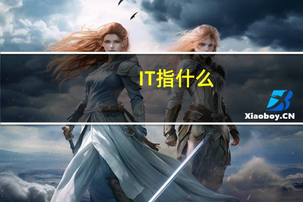 IT指什么