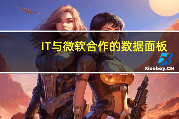 IT与微软合作的数据面板