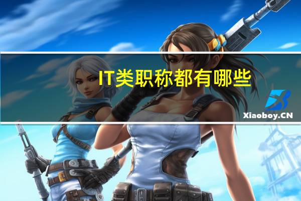IT类职称都有哪些