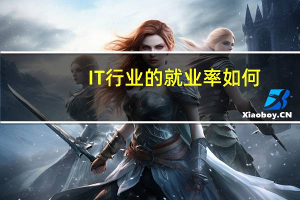 IT行业的就业率如何