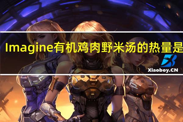 Imagine 有机鸡肉野米汤的热量是多少