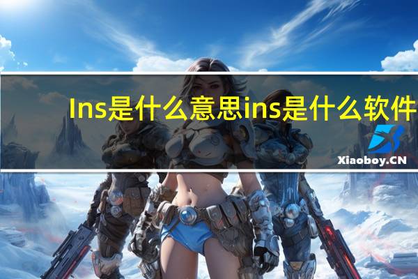 Ins是什么意思 ins是什么软件