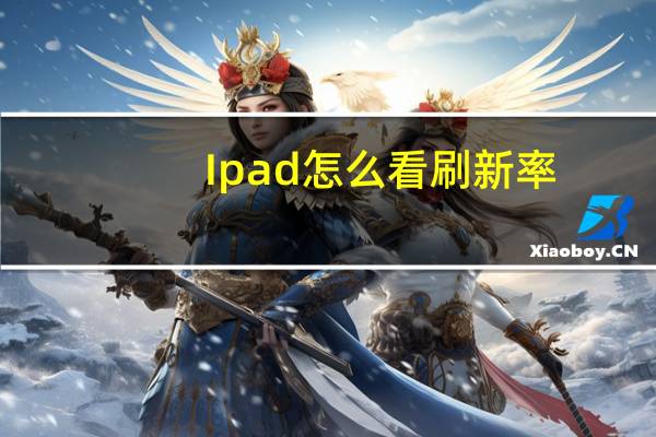 Ipad怎么看刷新率