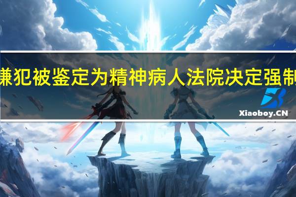 K435列车命案嫌犯被鉴定为精神病人法院决定强制医疗 到底什么情况呢