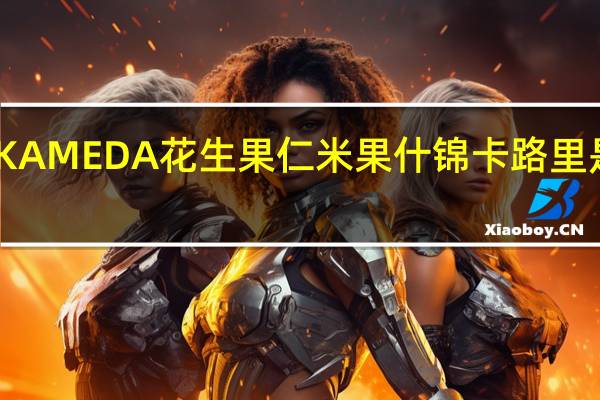 KAMEDA 花生果仁米果什锦卡路里是多少
