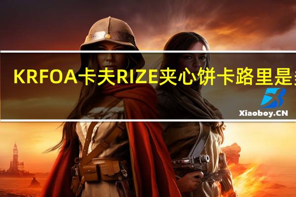KRFOA卡夫 RIZE夹心饼卡路里是多少