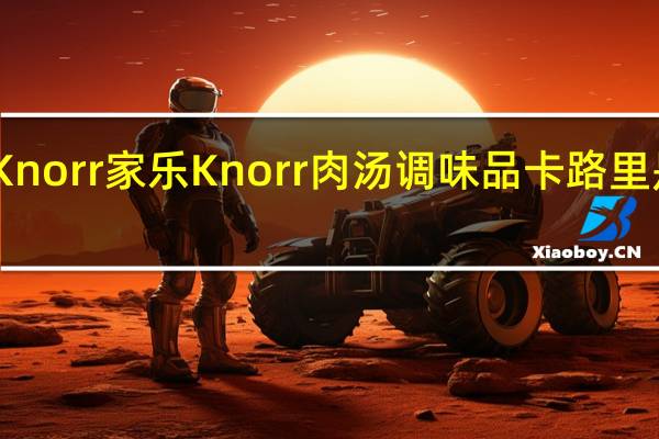 Knorr 家乐 Knorr 肉汤调味品卡路里是多少