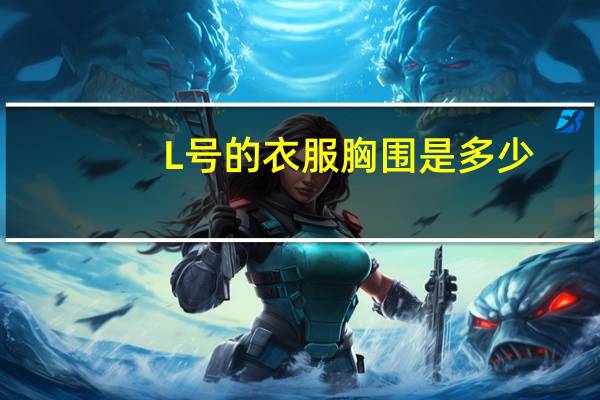 L号的衣服胸围是多少