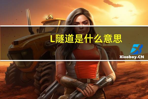 L隧道是什么意思