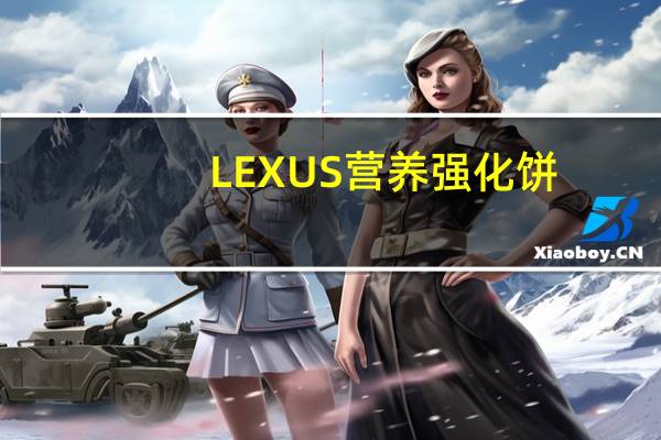 LEXUS 营养强化饼(巧克力酱味)的热量是多少
