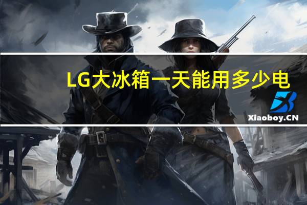 LG大冰箱一天能用多少电