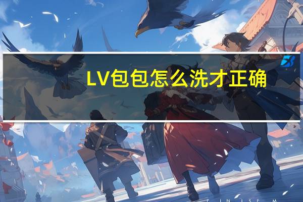 LV包包怎么洗才正确