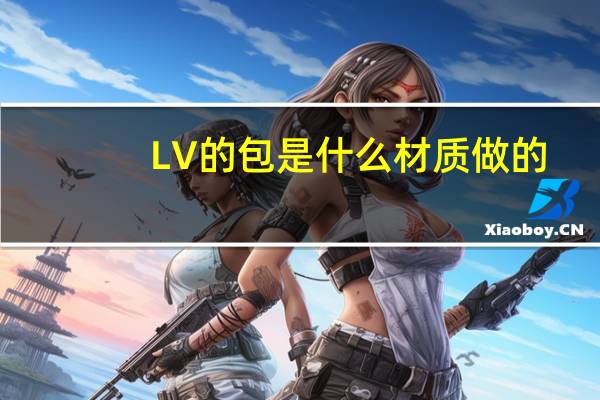 LV的包是什么材质做的