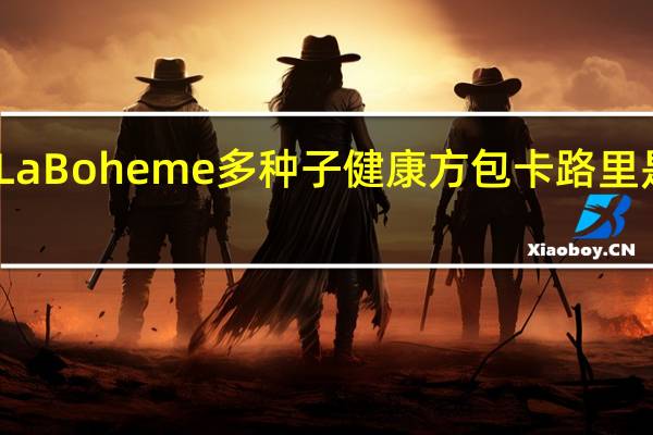 La Boheme 多种子健康方包卡路里是多少
