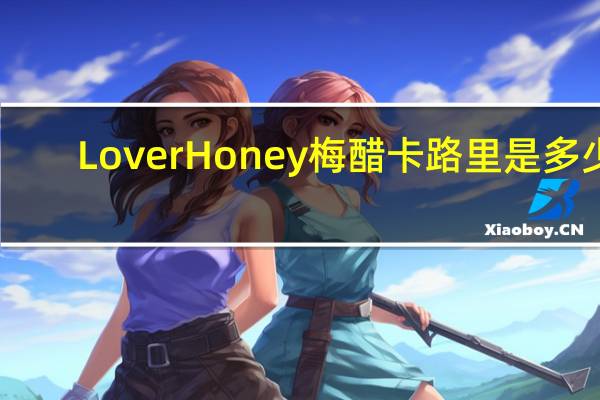 Lover Honey 梅醋卡路里是多少