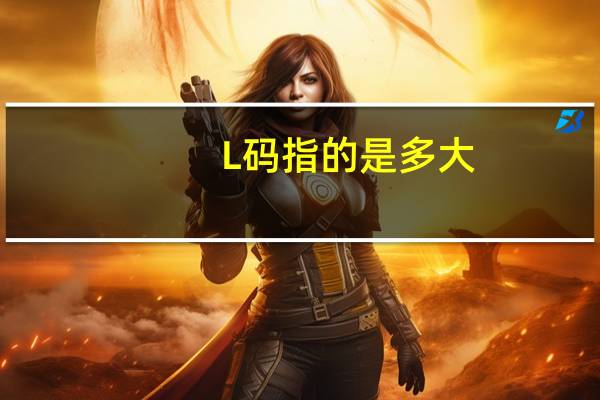 L码指的是多大