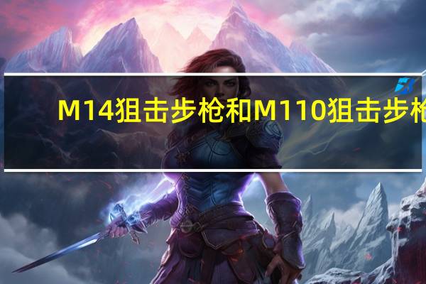 M14狙击步枪和M110狙击步枪（m14狙击步枪）