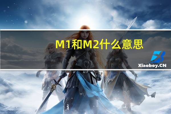 M1和M2什么意思