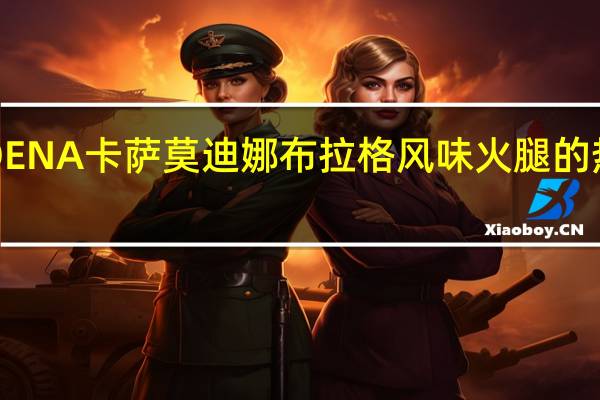 MODENA卡萨 莫迪娜布拉格风味火腿的热量是多少