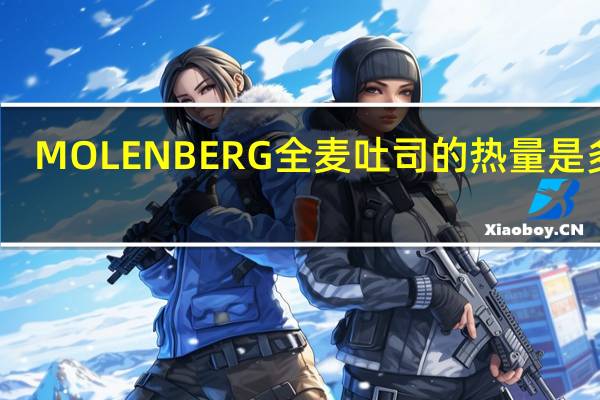 MOLENBERG 全麦吐司的热量是多少