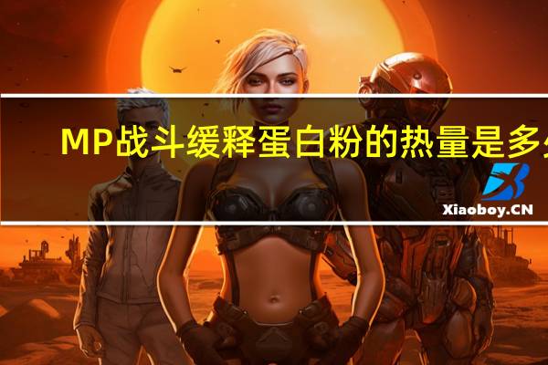 MP 战斗缓释蛋白粉的热量是多少