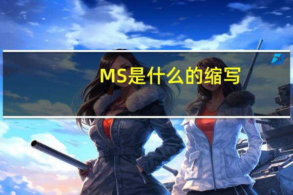 MS是什么的缩写
