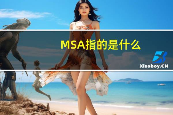 MSA指的是什么