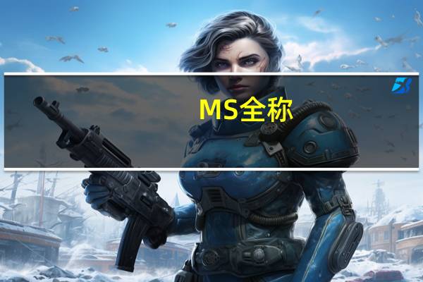 MS全称