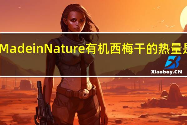 Made in Nature有机西梅干的热量是多少