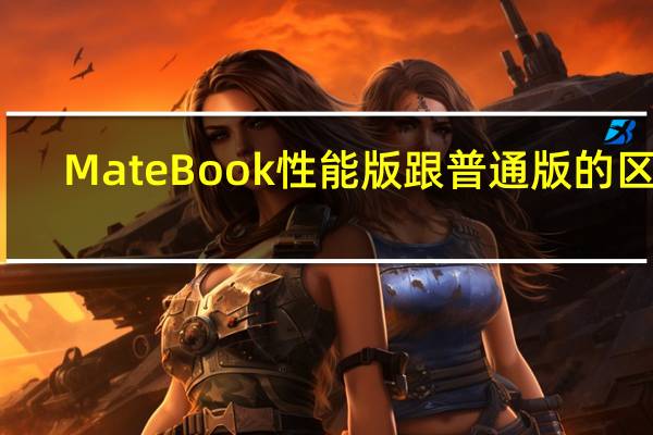 MateBook性能版跟普通版的区别