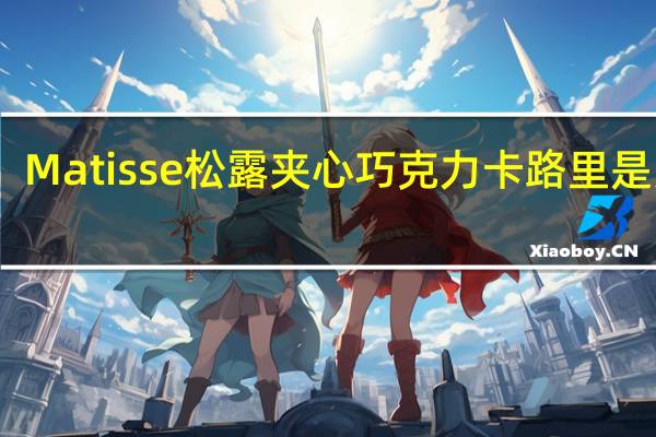 Matisse 松露夹心巧克力卡路里是多少