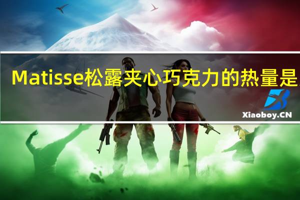 Matisse 松露夹心巧克力的热量是多少