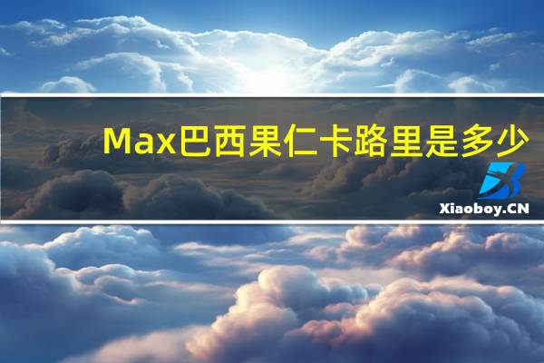 Max 巴西果仁卡路里是多少